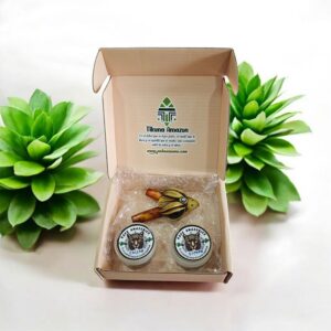 Caja Energética de Sabiduría Ancestral